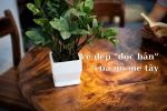 "Độc bản" – không chỉ là một danh từ, đó là đặc quyền