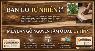 Bàn Gỗ Tự Nhiên Là Gì? Mua Bàn Gỗ Nguyên Tấm Ở Đâu Uy Tín?