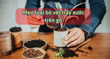 Mẹo Loại Bỏ Vết Trầy Xước Trên Gỗ Chỉ Với Nguyên Liệu Rẻ Tiền Có Sẵn Trong Bếp