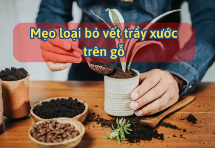 Mẹo Loại Bỏ Vết Trầy Xước Trên Gỗ Chỉ Với Nguyên Liệu Rẻ Tiền Có Sẵn Trong Bếp