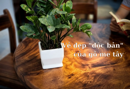 "Độc bản" – không chỉ là một danh từ, đó là đặc quyền